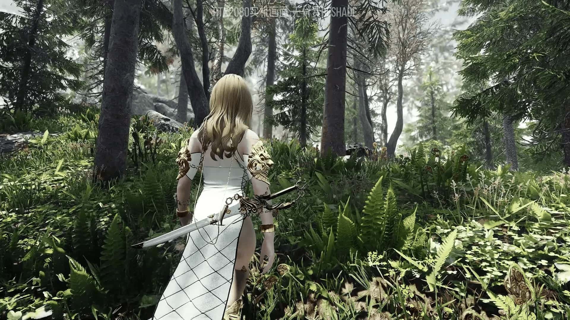上古卷轴5 星黎SamuRai版 完整整合最新版封面